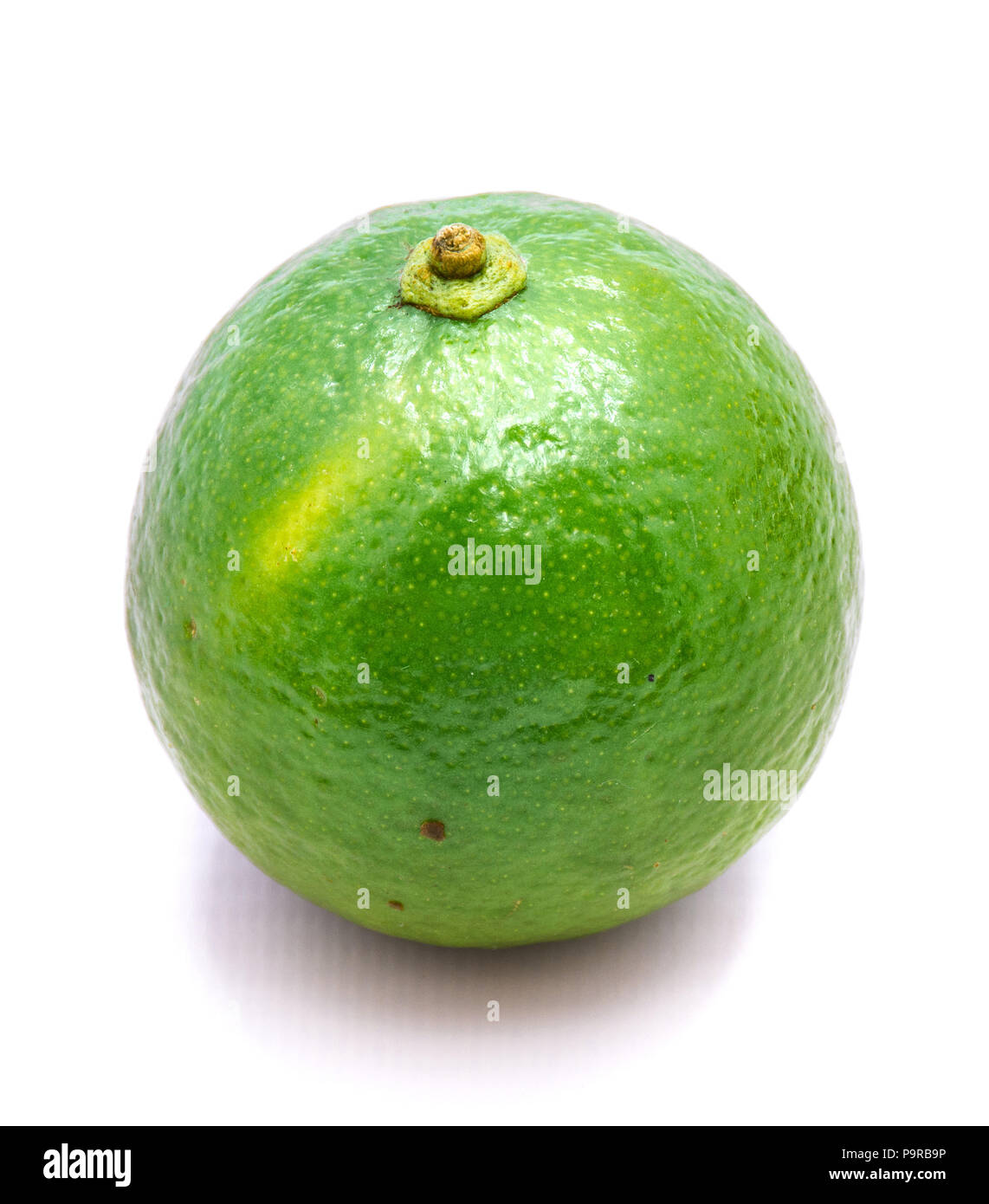 One whole green lime isolated on white background Stock Photo - Alamy
