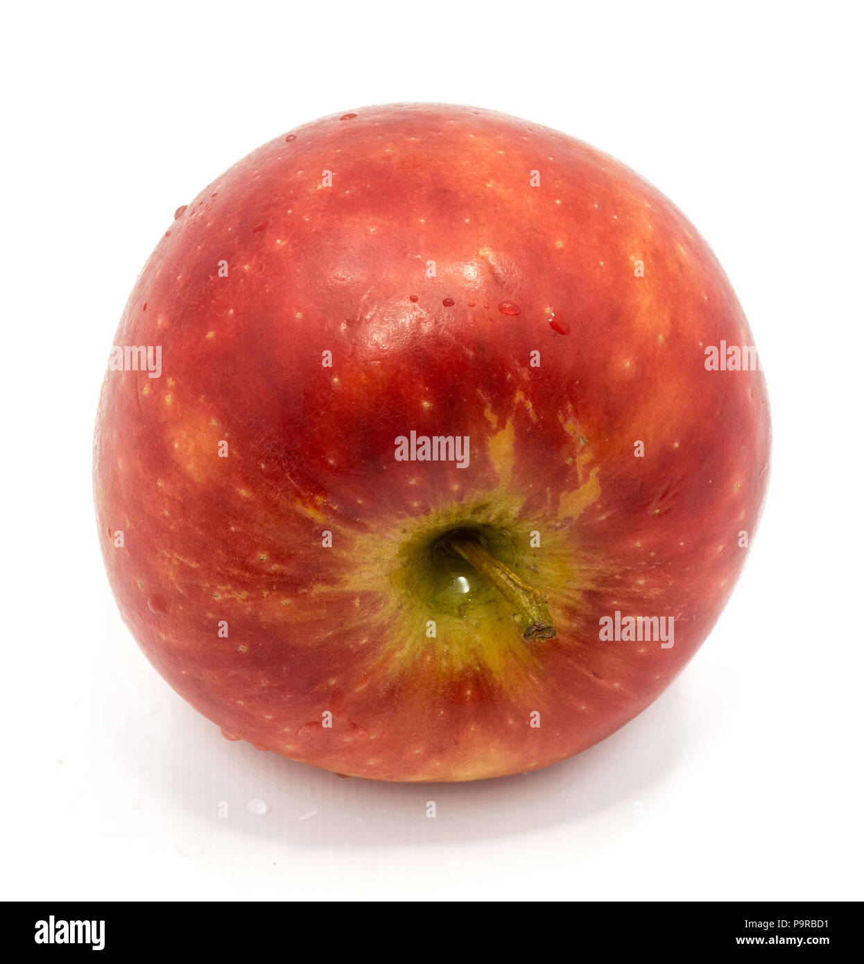 One whole Kanzi apple isolated on white background Stock Photo Alamy