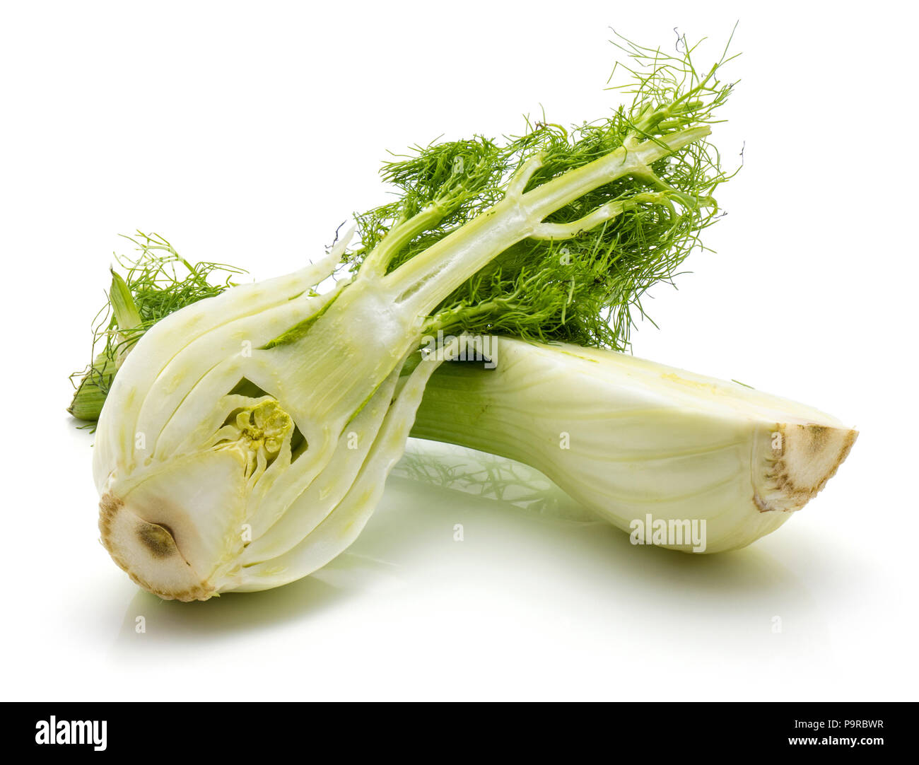 Two florence fennel bulb halves isolated on white background Stock