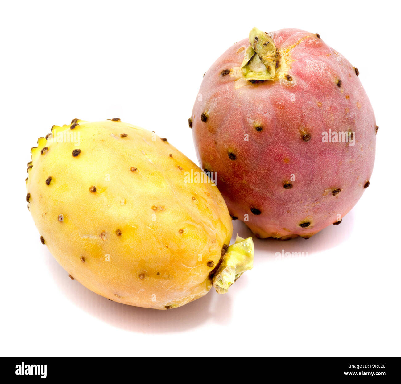 Two whole prickly pears, orange and red isolated on white background Stock Photo