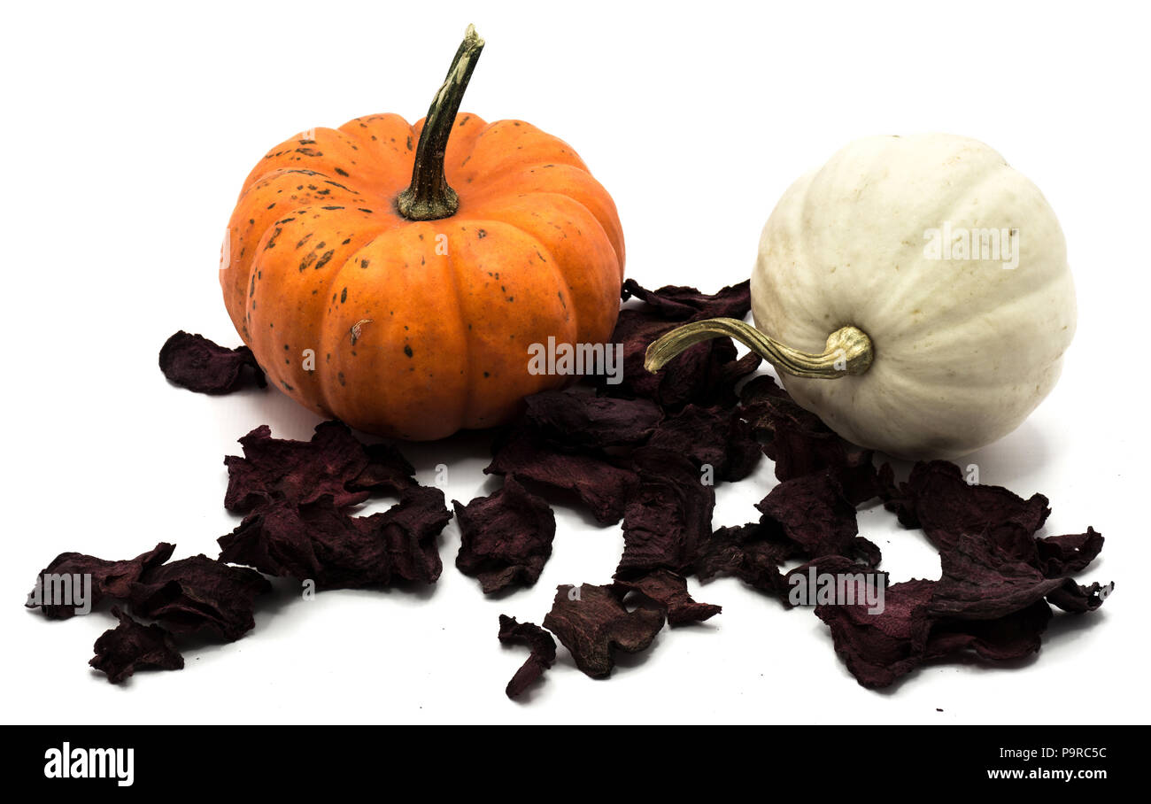 Composition of pumpkins on red dry beta, two whole white and orange ...