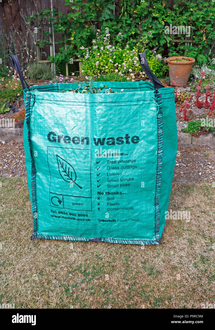 A green waste bag full of garden waste in a back garden at Hellesdon