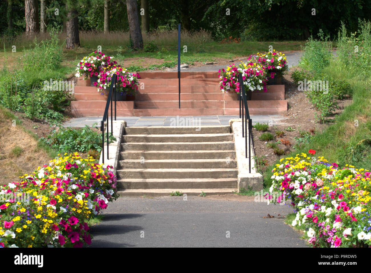 Stairs and flowers Stock Photo - Alamy
