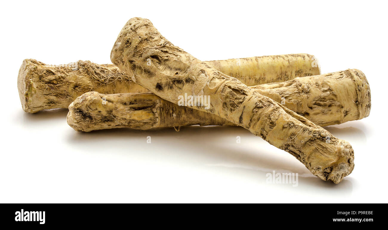 Three fresh horseradish root isolated on white background Stock Photo