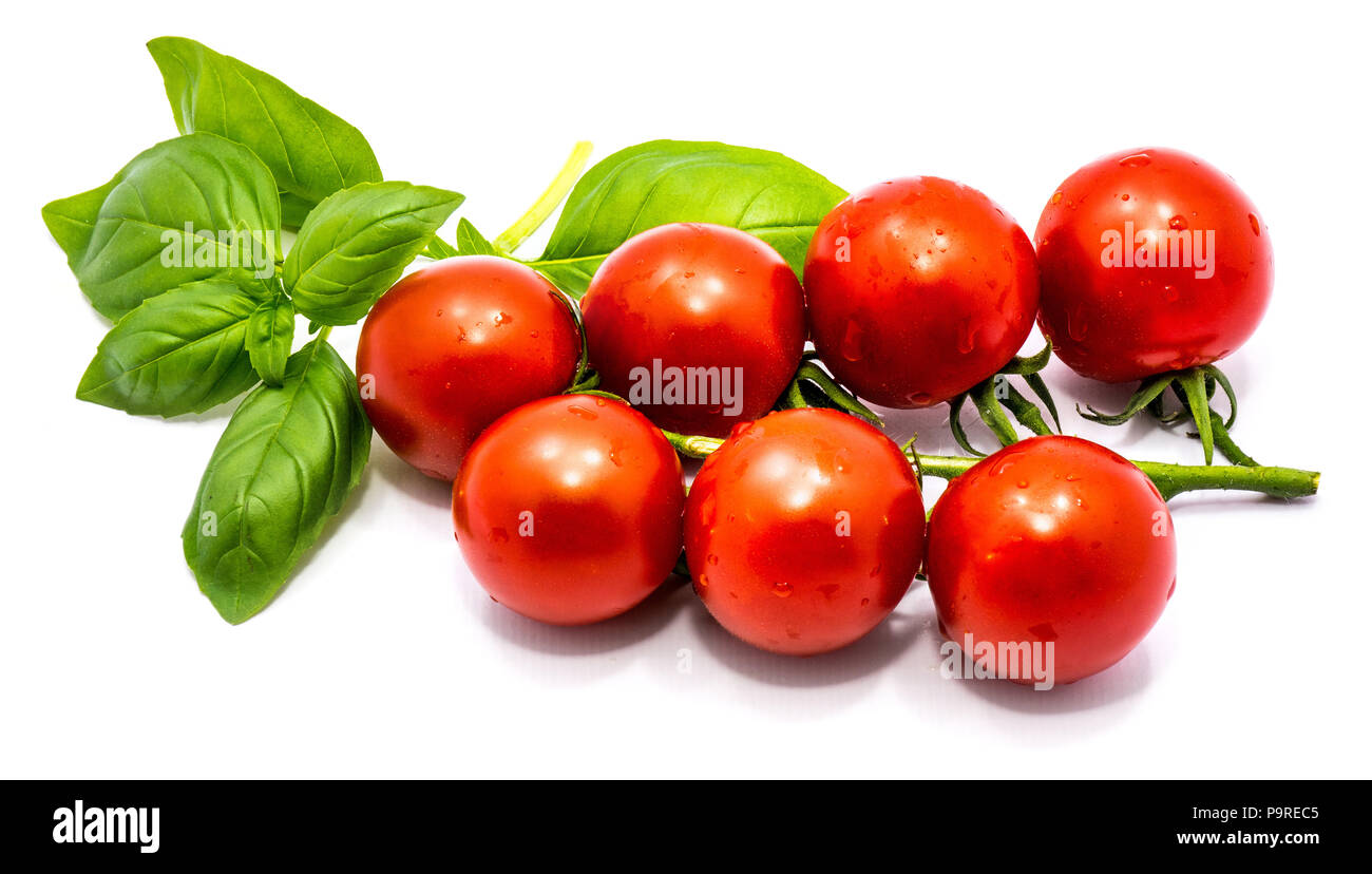 Whole red tomato cherry and green fresh basil leaves isolated on white ...