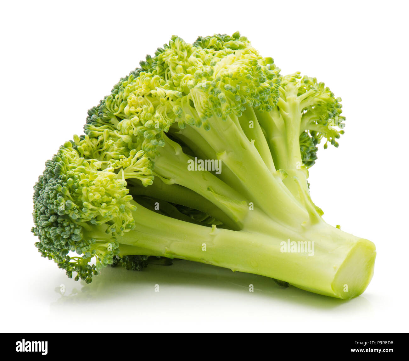 Fresh broccoli isolated on white background one piece Stock Photo - Alamy