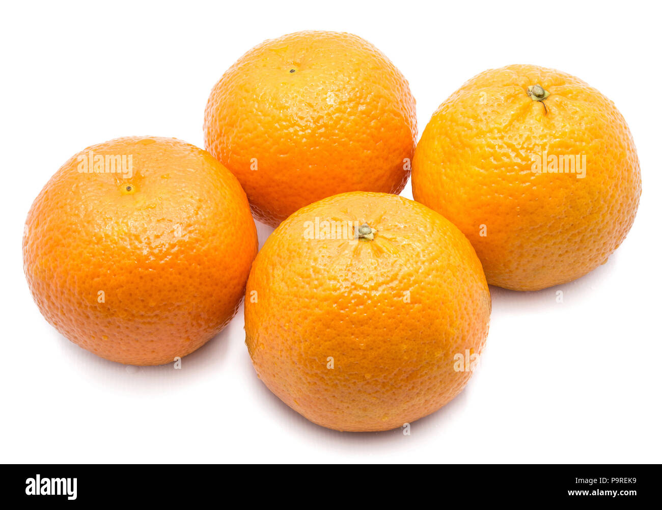 Four whole Clementines with water drops isolated on white background