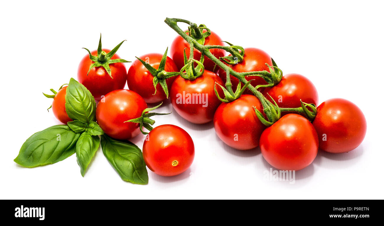 Whole fresh red cherry tomatoes on the vine and green basil leaves ...