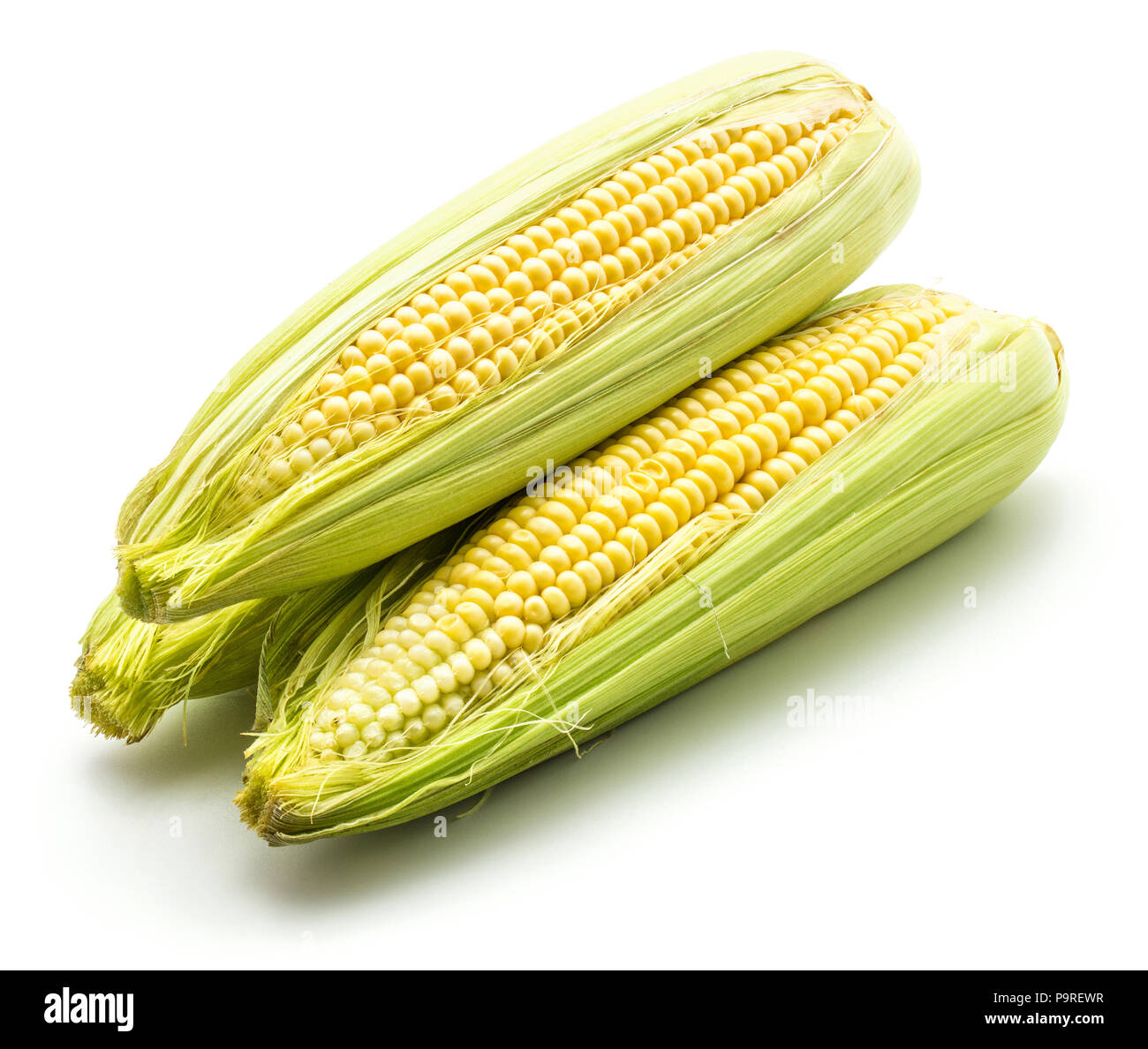 Group of three fresh corn ears isolated on white background Stock Photo