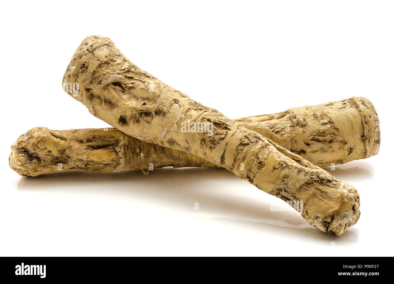 Two fresh horseradish roots isolated on white background Stock Photo