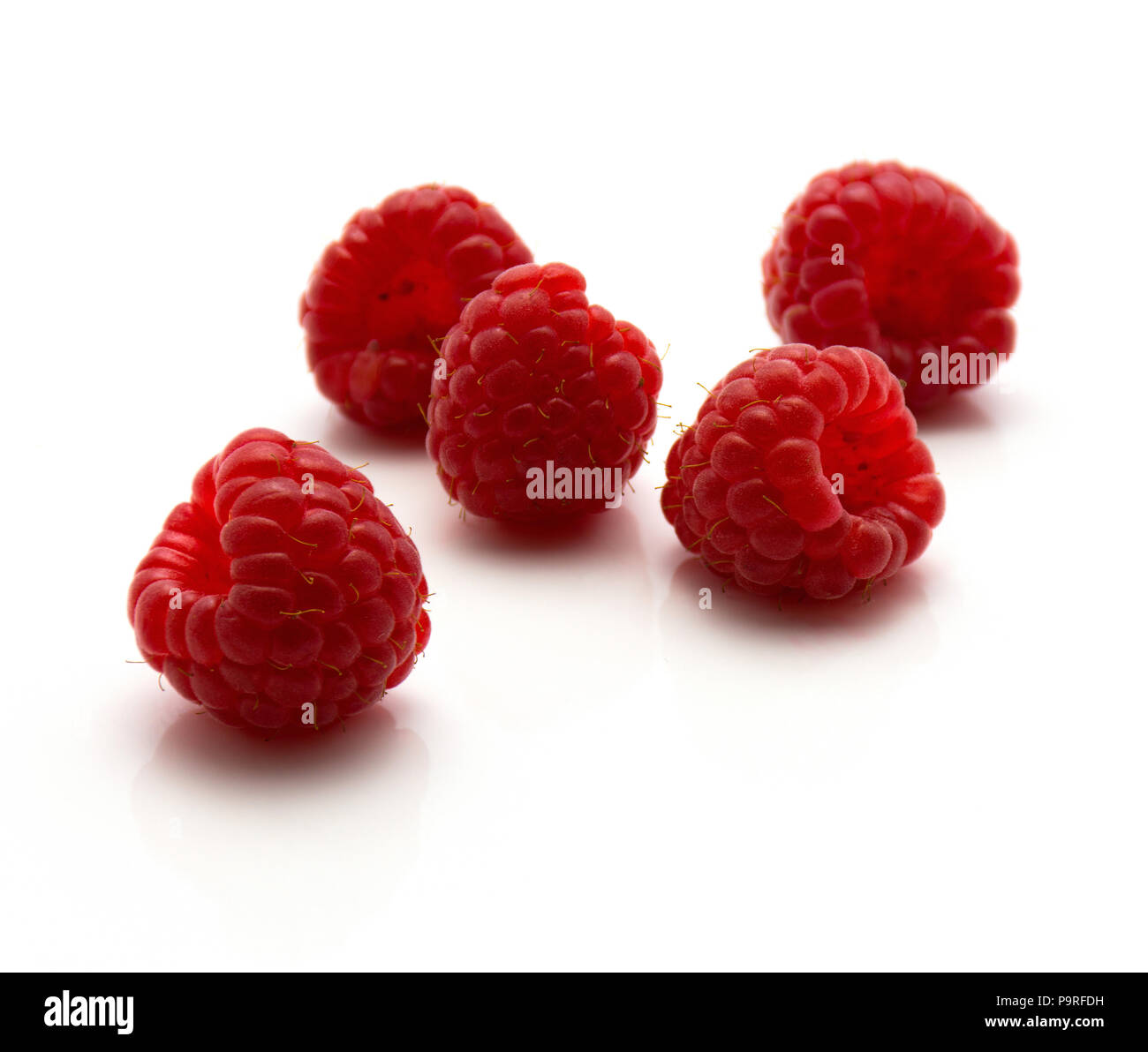 American red raspberries rubus idaeus hires stock photography and