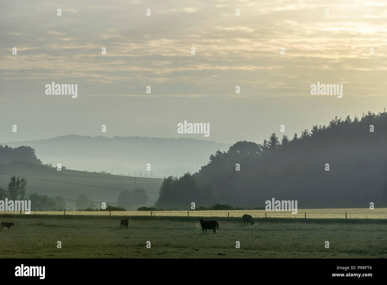 German ranch hi-res stock photography and images - Alamy