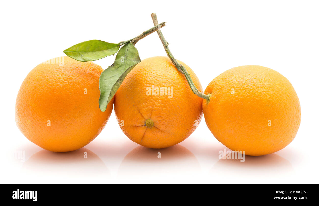Three oranges with green leaf isolated on white background whole fresh in row Stock Photo Alamy