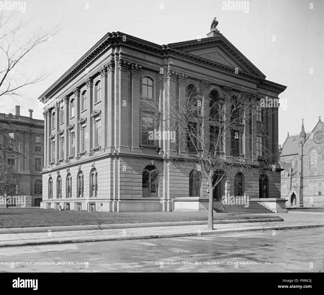 218 Boston Natural History Museum 1904 Stock Photo