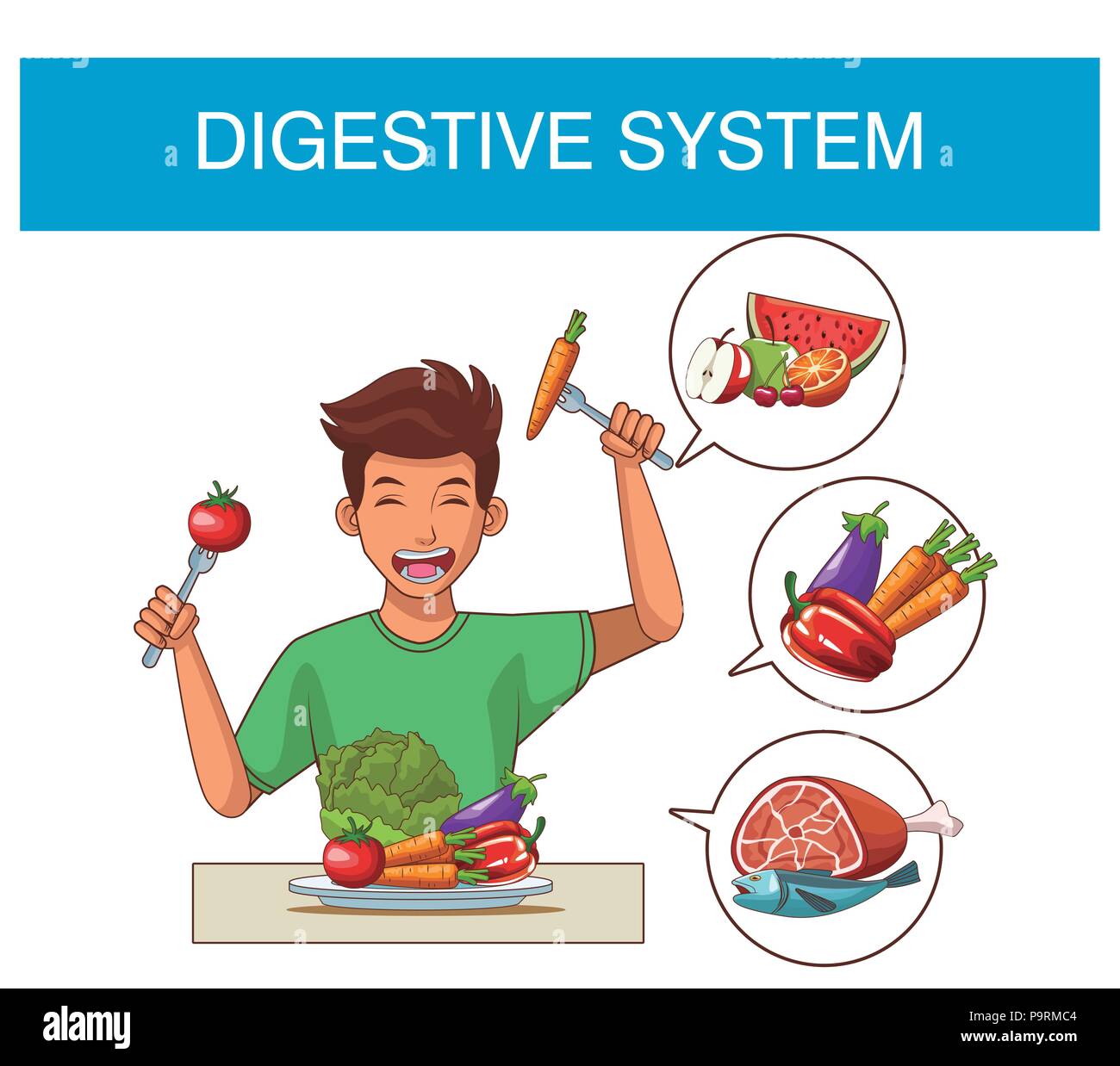 Digestive system and nutrition with young man cartoon vector illustration graphic design Stock Vector
