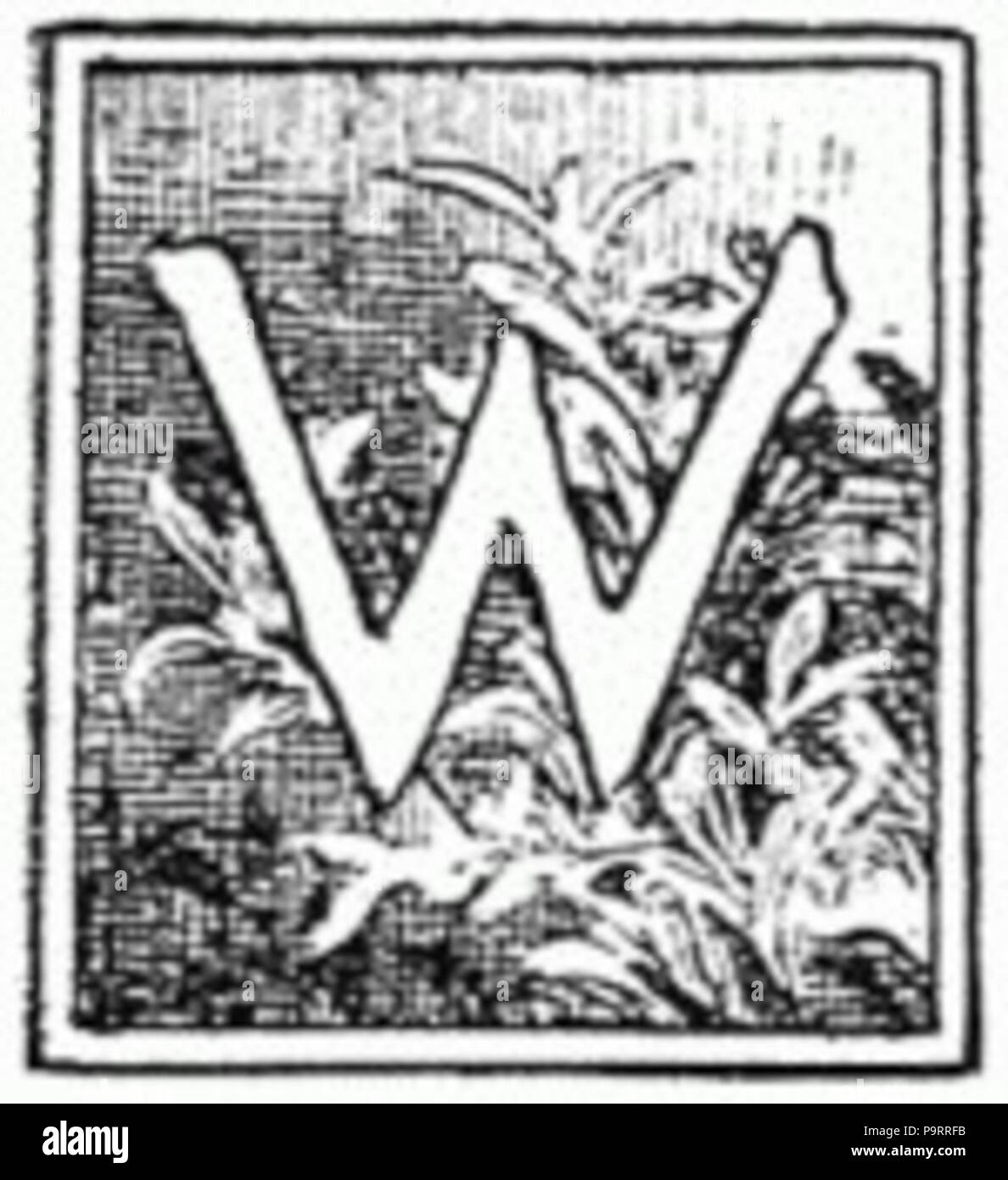 Capital w hi-res stock photography and images - Alamy