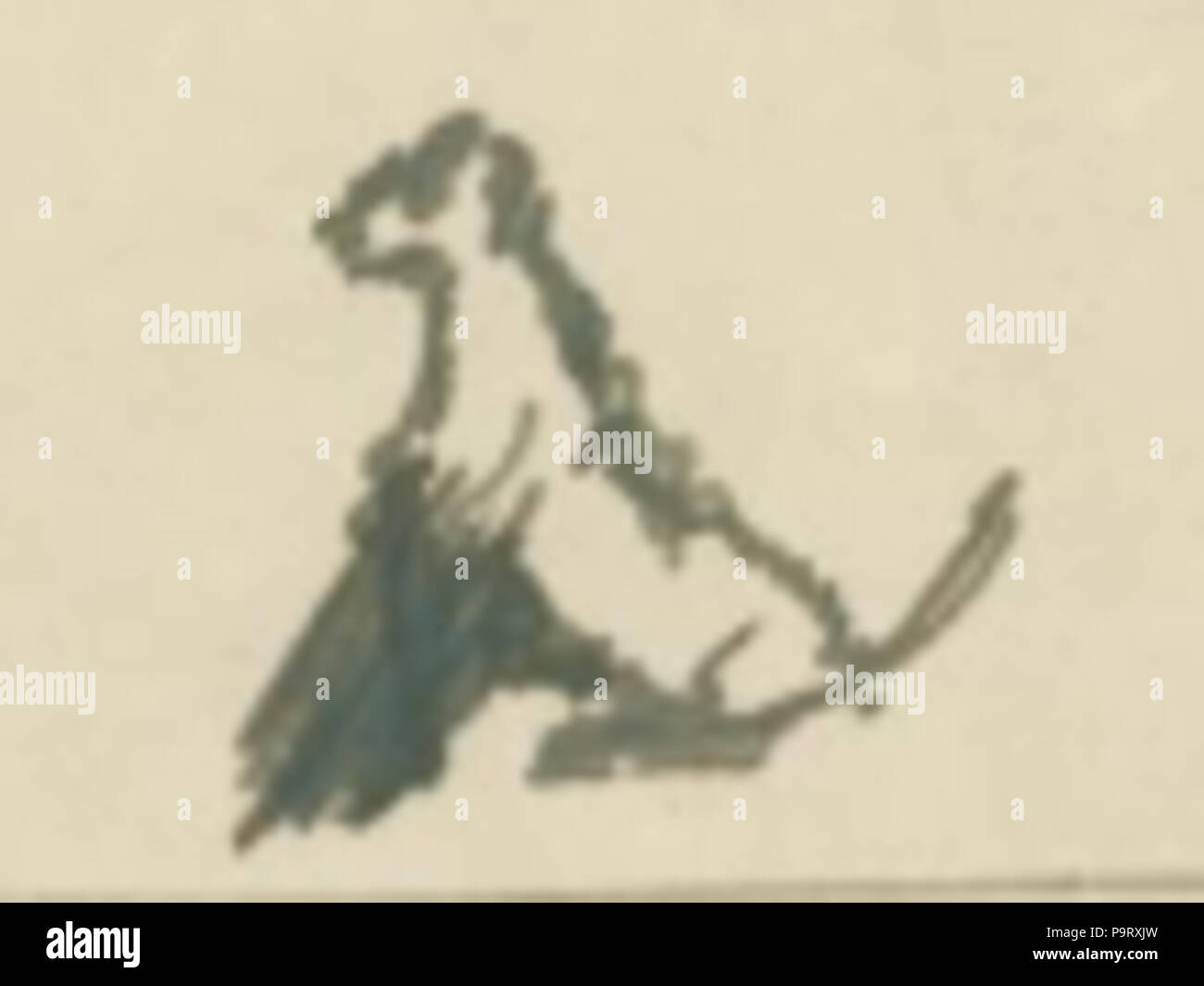 Chien Assis Stock Photos Chien Assis Stock Images Alamy