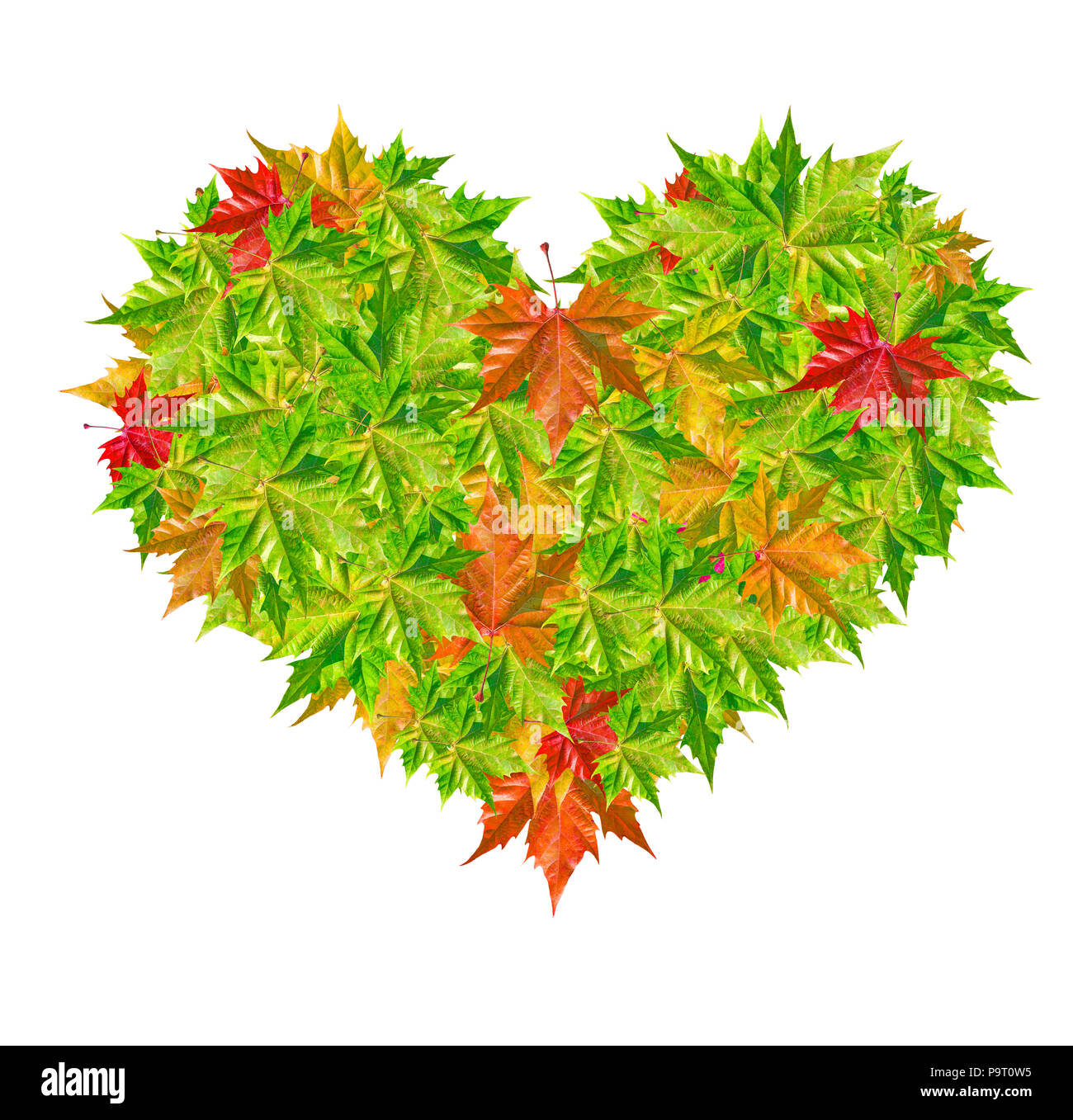 Heart symbol in leaves isolated on white Stock Photo - Alamy