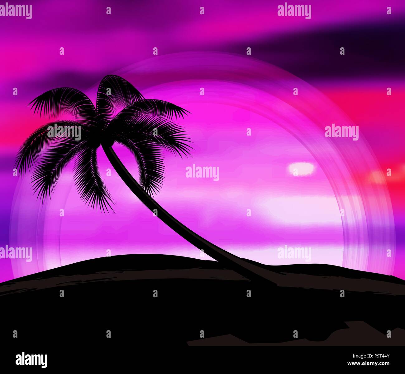 Vector background summer vacation with sunset and palm trees Stock ...