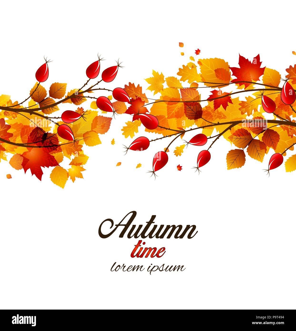 Vector illustration rose hip and leaf, autumn bush Stock Vector Image ...