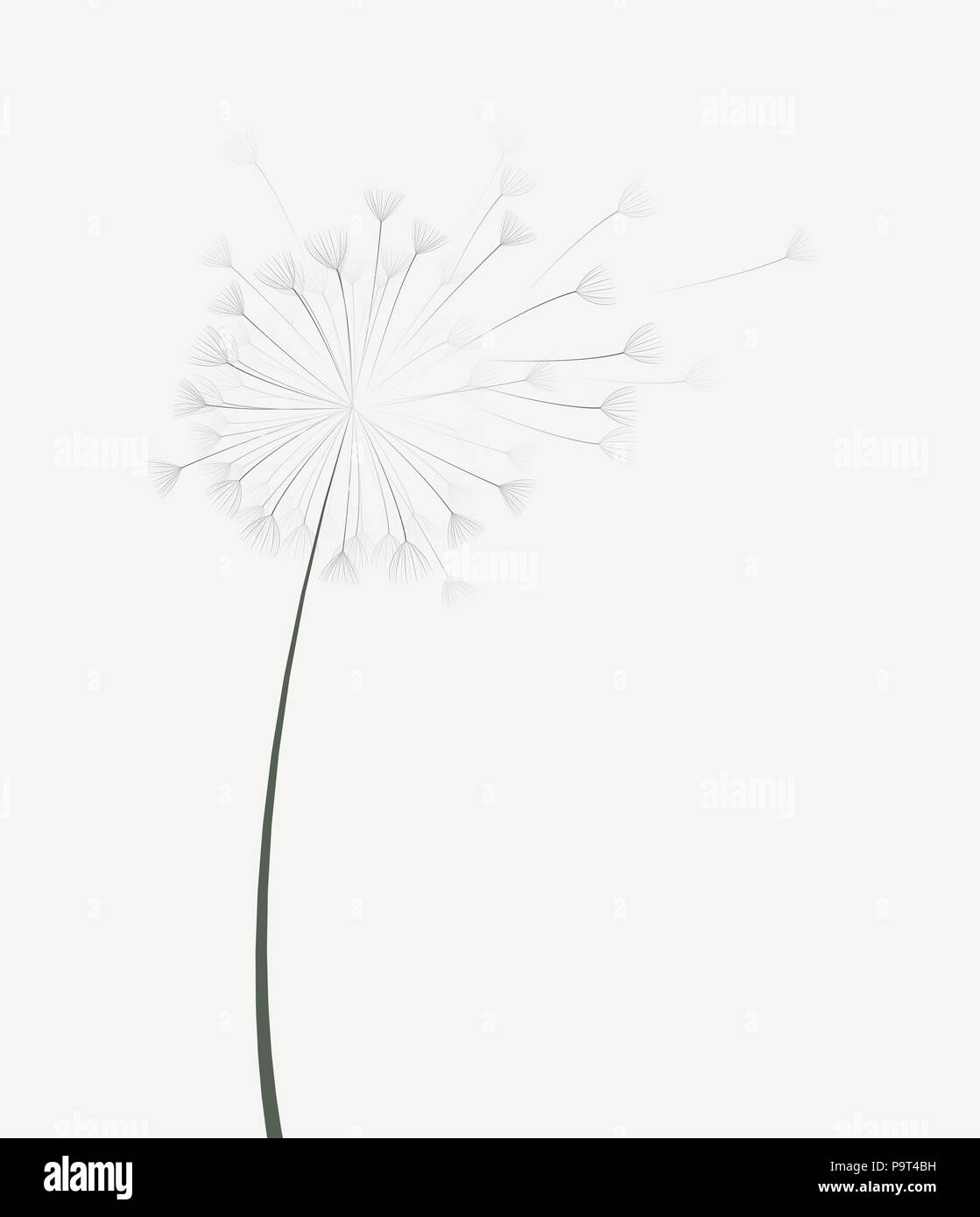 Vector illustration of dandelion flower in motion Stock Vector