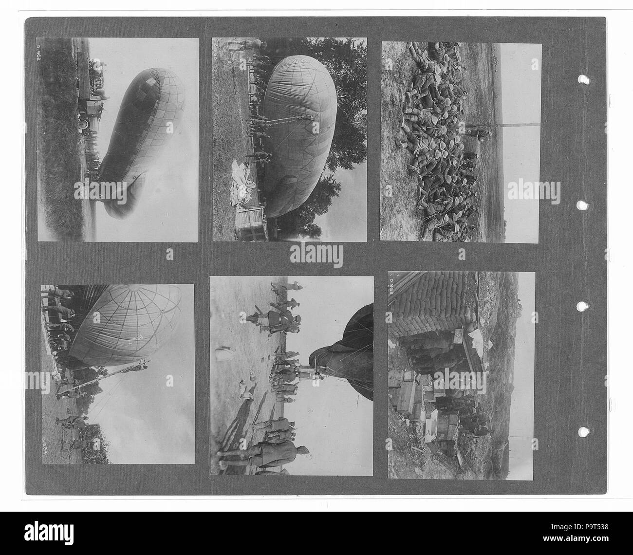 Official remembrance Cut Out Stock Images Pictures Alamy