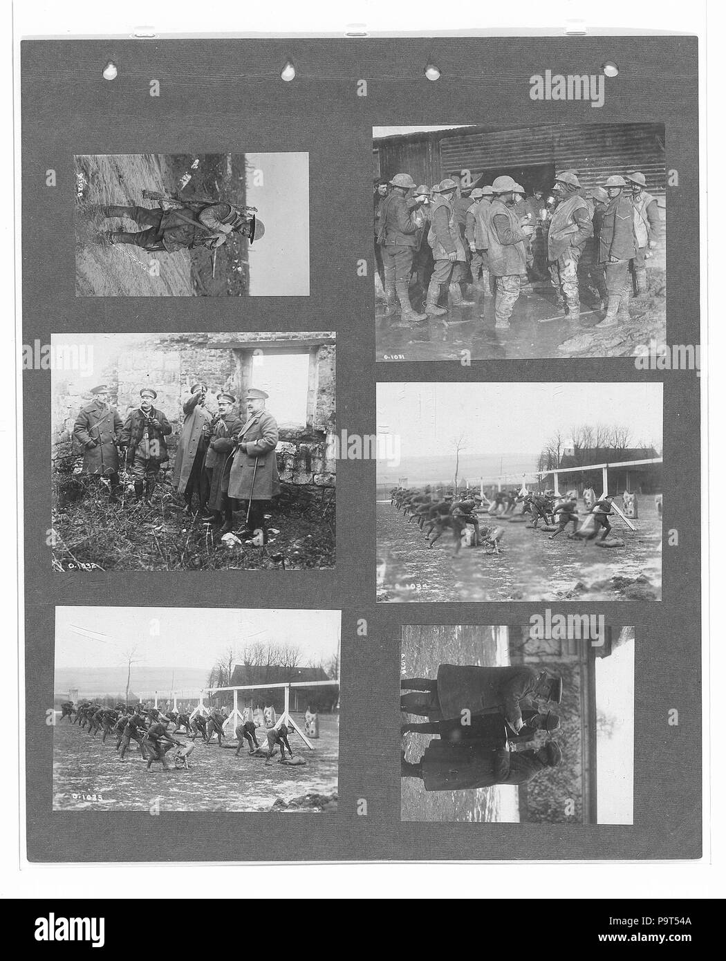 274 Canadian Official War Photographs (BL l.r.233.b.57.v2 f050r) Stock Photo