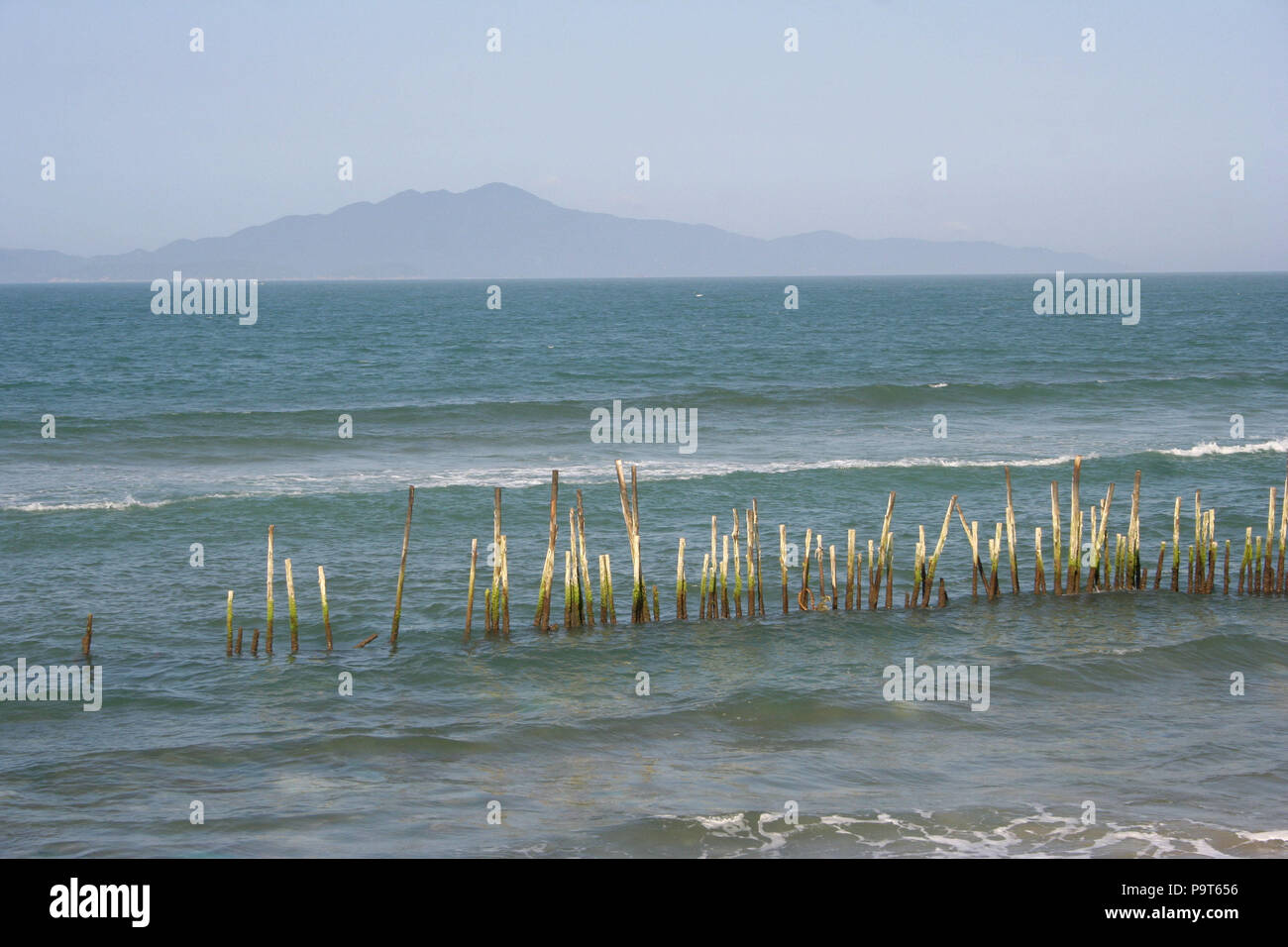 Row of Sticks in Sea with Hills in the Background on Vietnamese East Coast, Vietnam Stock Photo