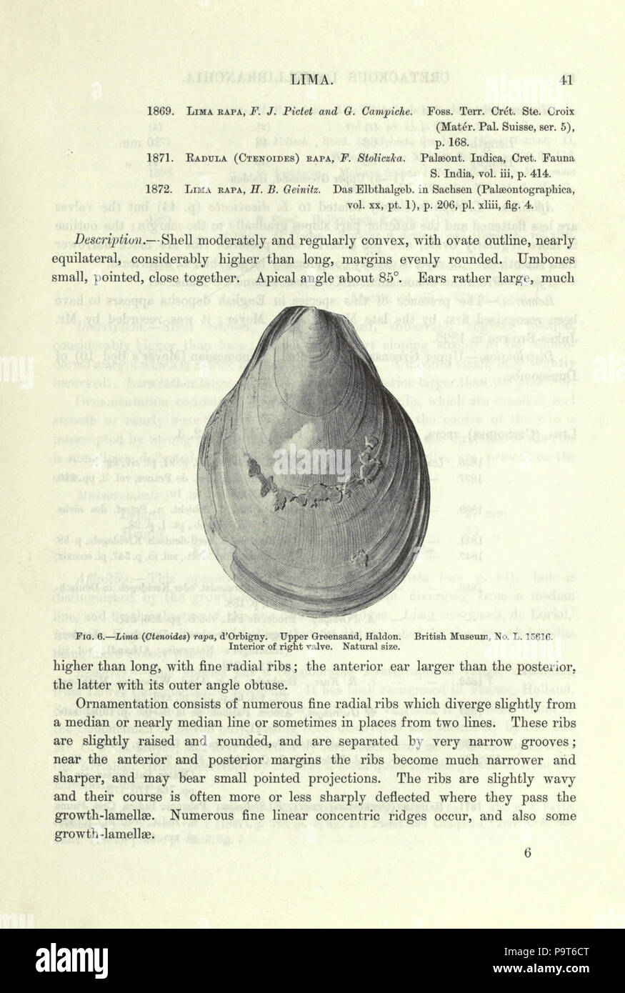 A Monograph Of The Cretaceous Lamellibranchia Of England - 