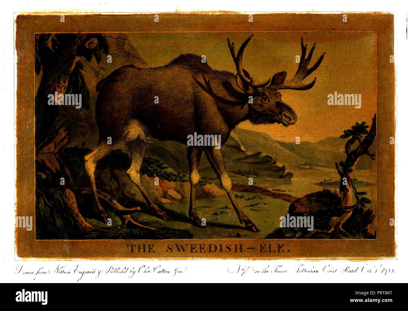 Painting by charles catton hi-res stock photography and images - Alamy