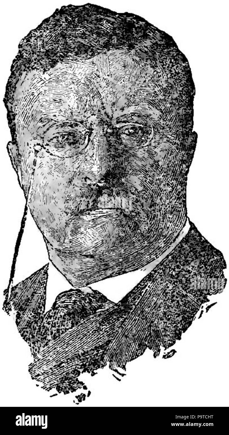 . English: Portrait of United States President Theodore Roosevelt (head) . published 1921 336 Collier's Roosevelt Theodore - elder Stock Photo