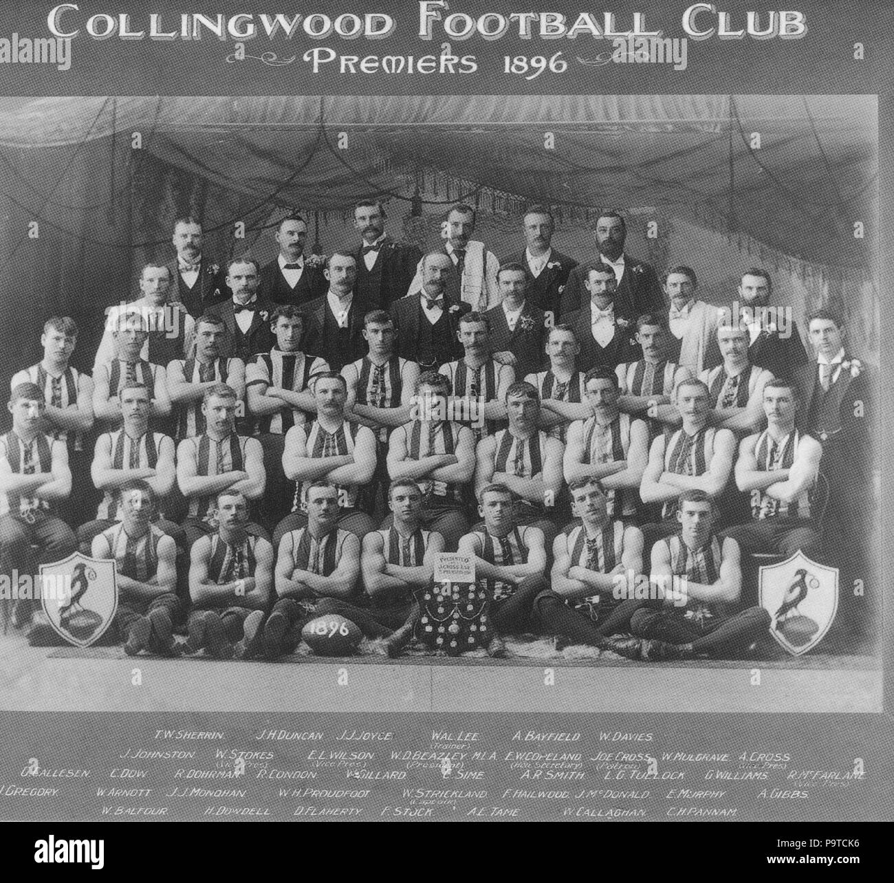 336 Collingwoodfc Stock Photo