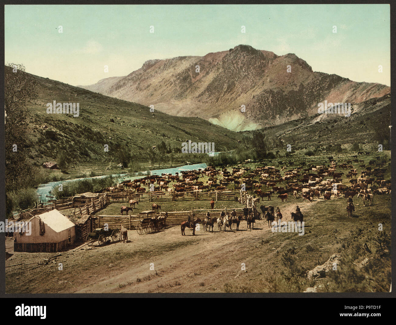 Old Time Ranchers Colorado ranchers hi-res stock photography and images - Alamy