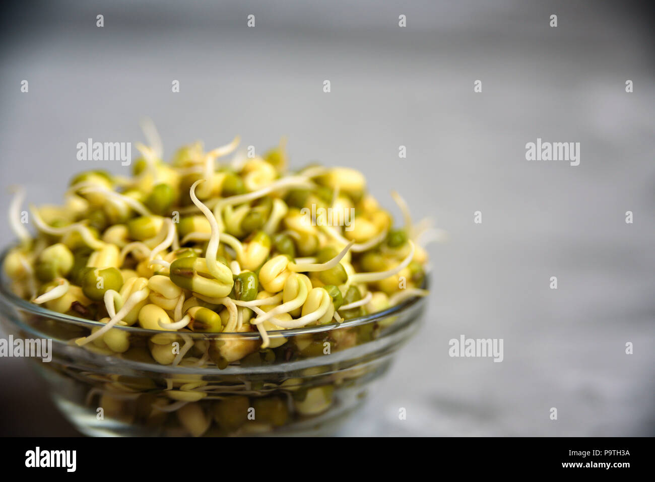 Bowl with mung bean with sprouts.Close up on grey concrete background Stock Photo