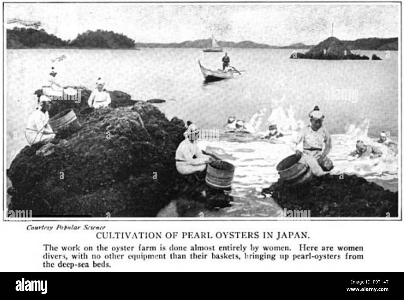 360 Cultivation of Pearl Oysters in Japan Stock Photo Alamy
