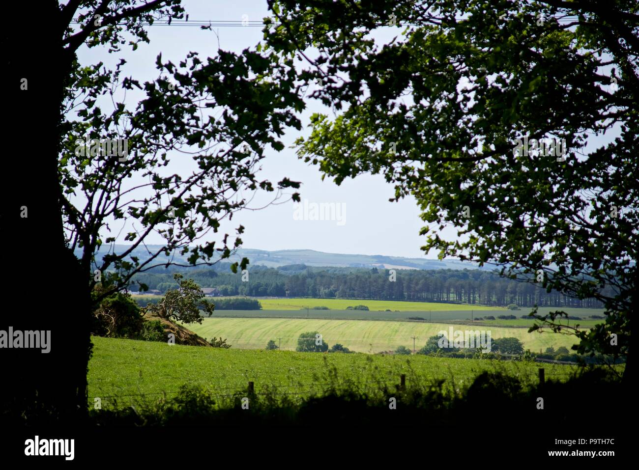 Galloway countryside near Stranraer, Scotland Stock Photo
