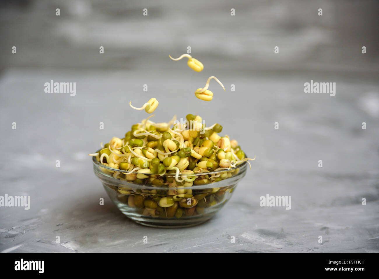 Bowl with mung bean with sprouts.Close up on grey concrete background Stock Photo