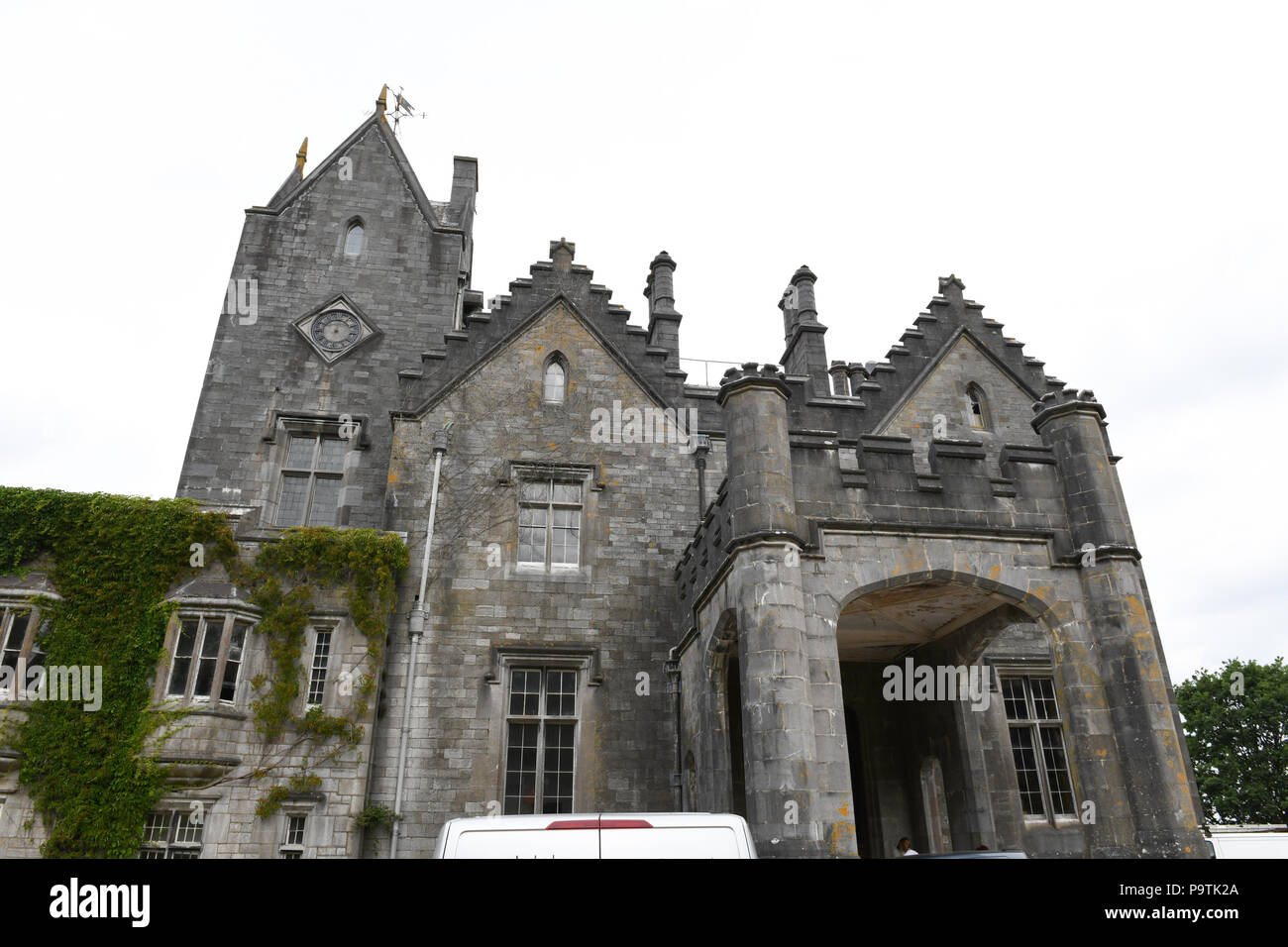 Golden Grove, Llandeilo, 16th July 2018 Pictured is the Gelli Aur