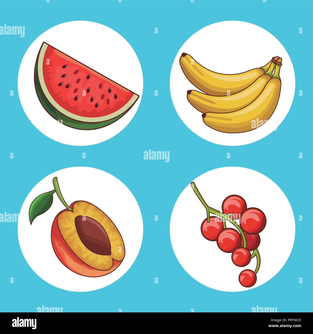 Set of fruits round icons collection vector illustration graphic design