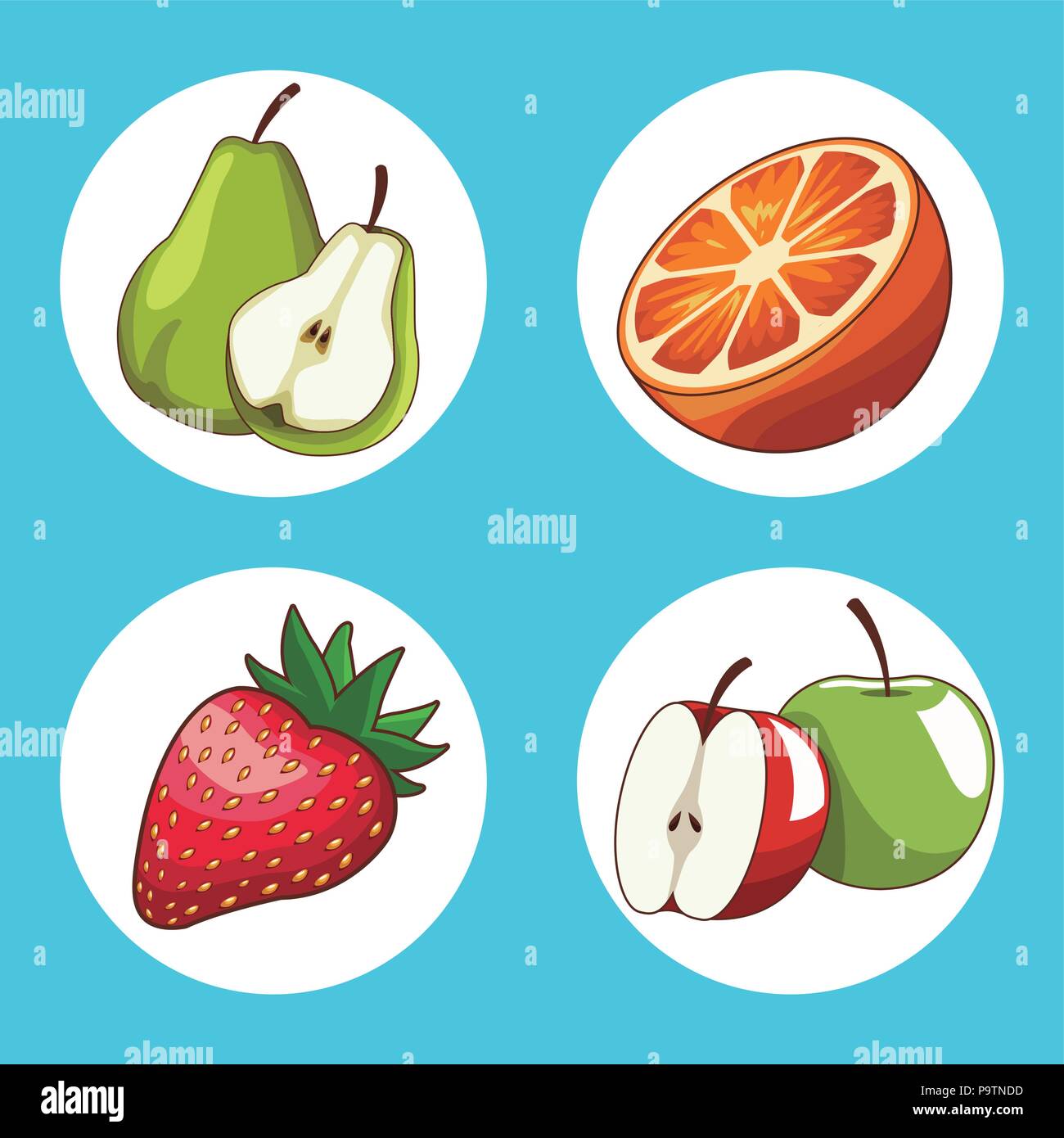 Set of fruits round icons collection vector illustration graphic design