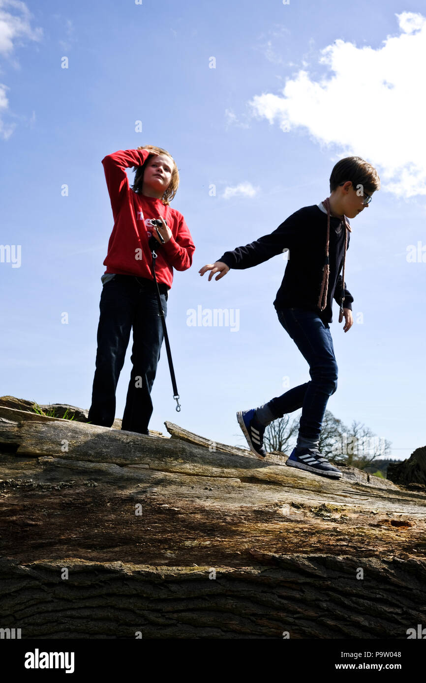 Straight hair 10 year old hires stock photography and images Alamy