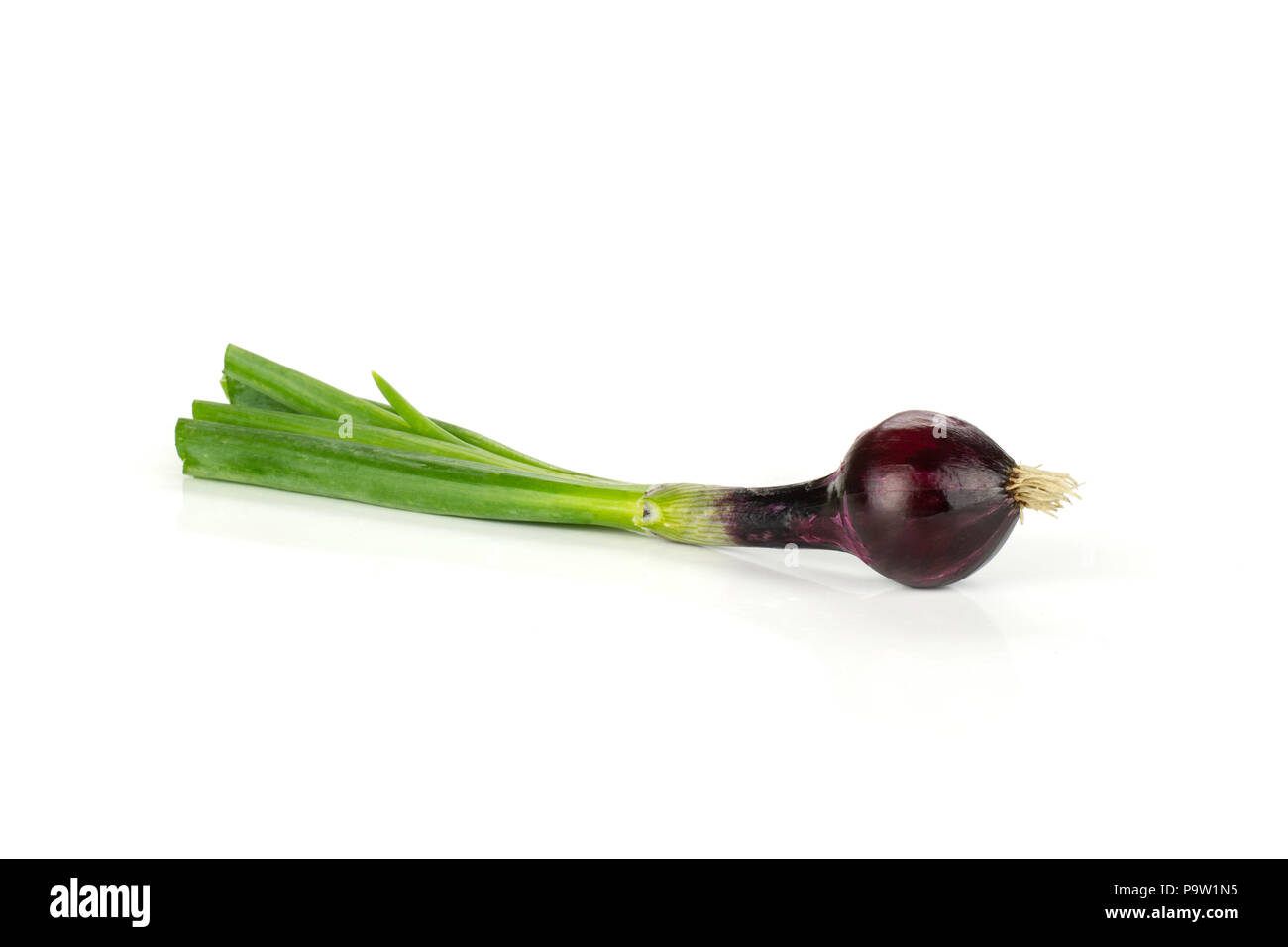 One whole fresh green spring onion red scallion variety round bulb ...