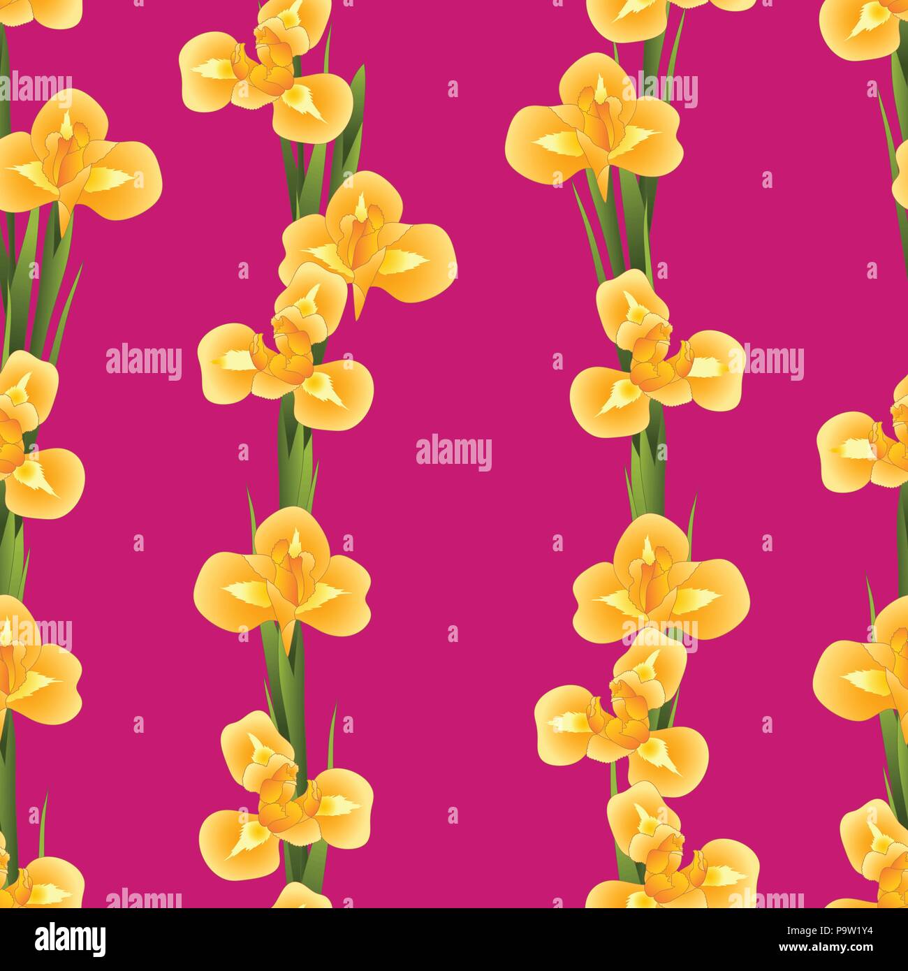 Orange Iris Flower on Pink Background. Vector Illustration. Stock Vector