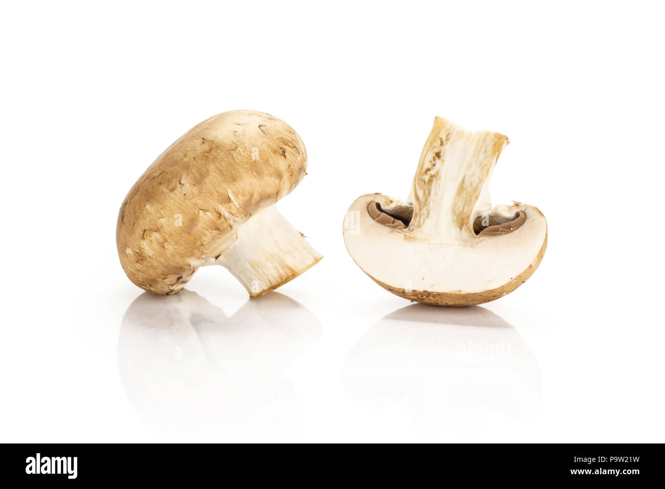 One brown champignon with a sliced half isolated on white background