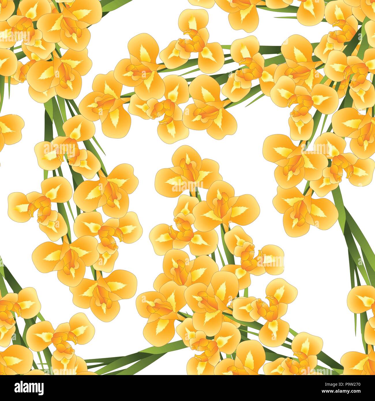 Orange Iris Flower on White Background. Vector Illustration. Stock Vector