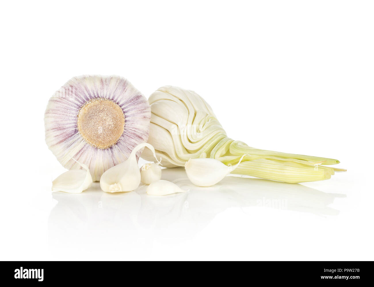 Young garlic two open bulbs with green stem and separated cloves isolated on white background