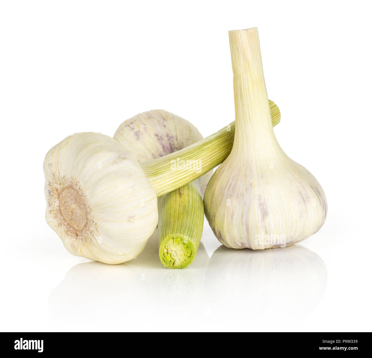 Young garlic with green stems three bulbs isolated on white background