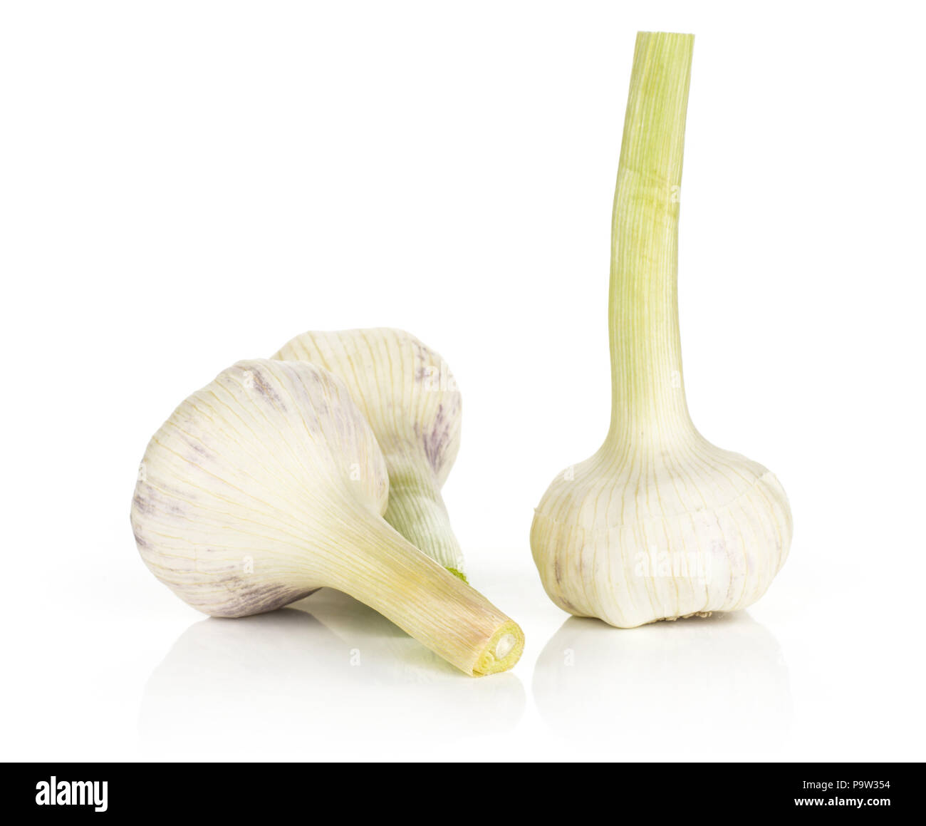 Young garlic with green stems three bulbs isolated on white background