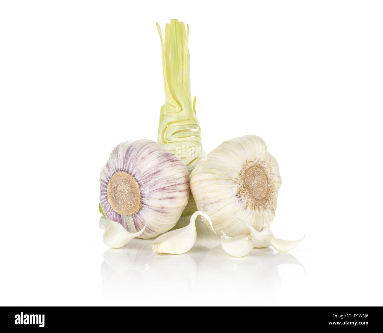 Young garlic two bulbs with green stem and cloves isolated on white