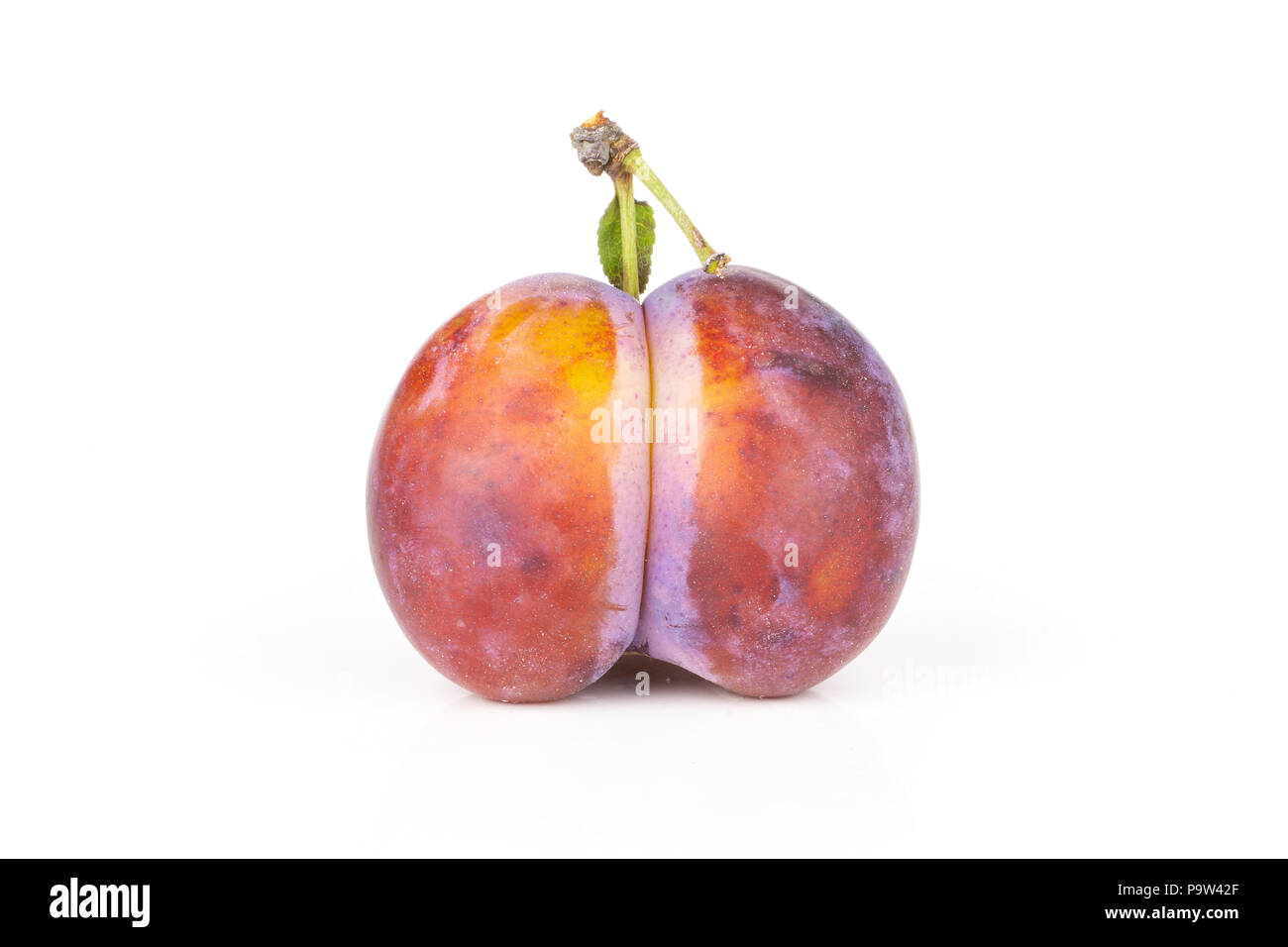 One whole fresh violet-blue plum vibrant moyer variety isolated on